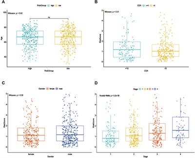 Identification and Validation of EMT-Related lncRNA Prognostic Signature for Colorectal Cancer